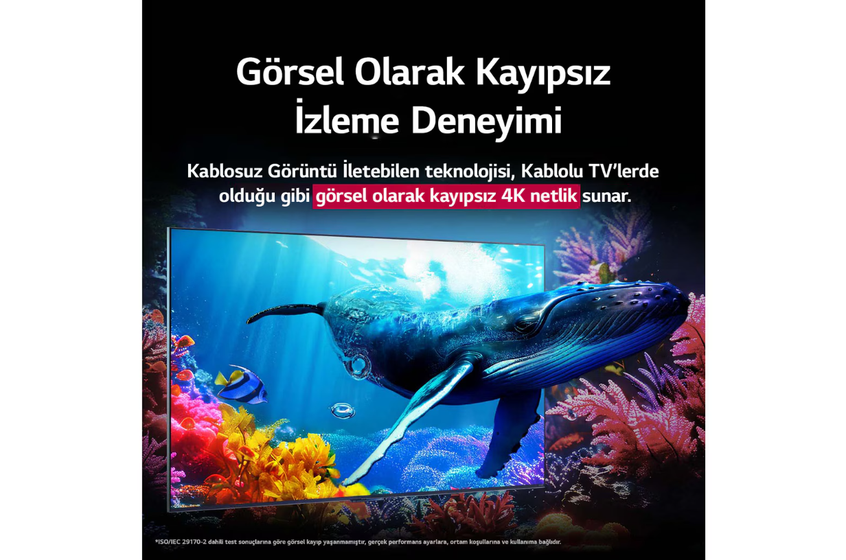 Bir TV ekranı okyanusta yüzen bir balinayı gösteriyor. Üstte 'Kaybı Olmayan İzleme Deneyimi' yazıyor.