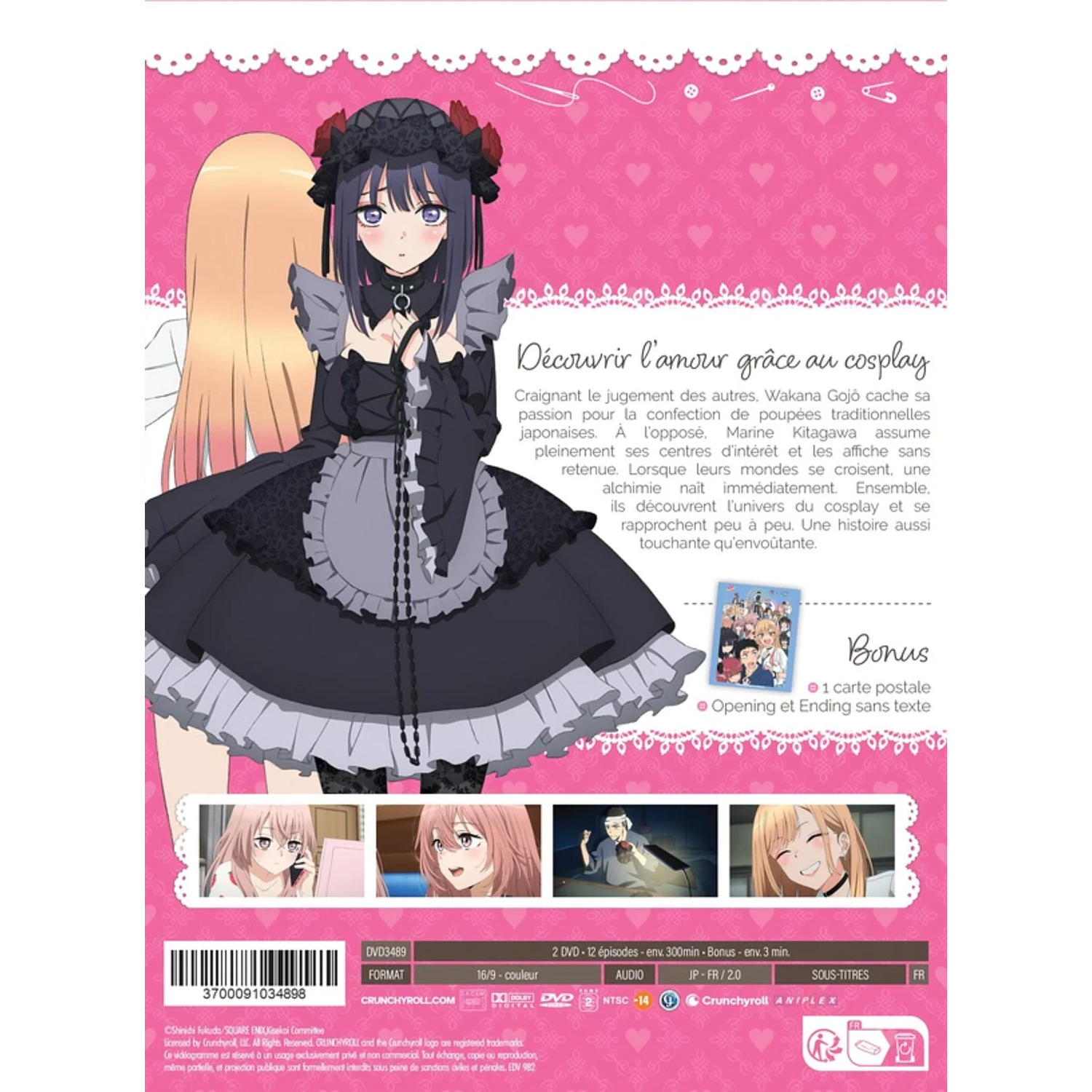 Anime DVD-hoes toont een meisje in zwarte cosplay met een blond meisje erachter, roze achtergrond, tekst en bonusinformatie.