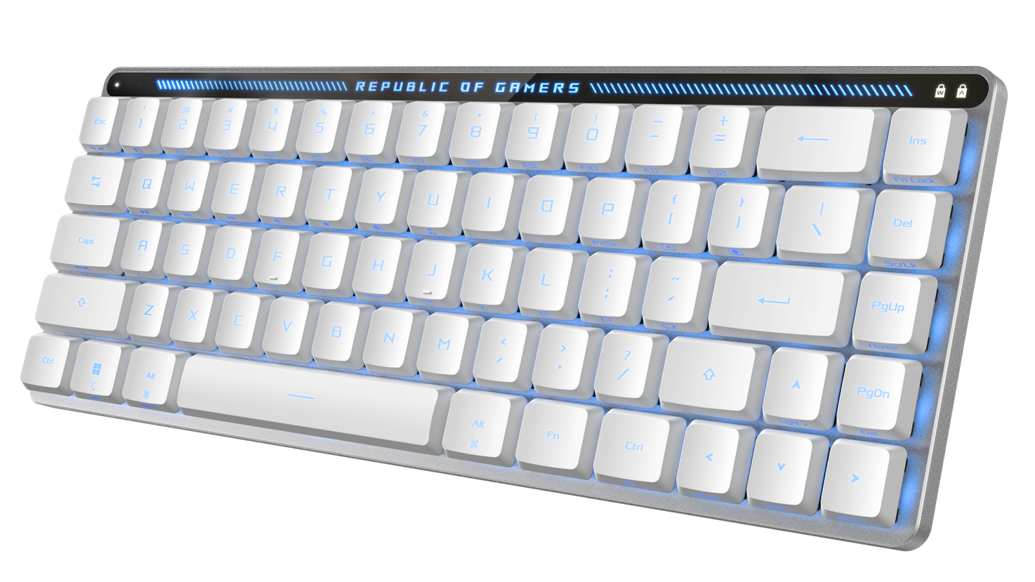 Eine weiße, hintergrundbeleuchtete Tastatur mit blauen Akzenten. Oben steht 'REPUBLIC OF GAMERS'.