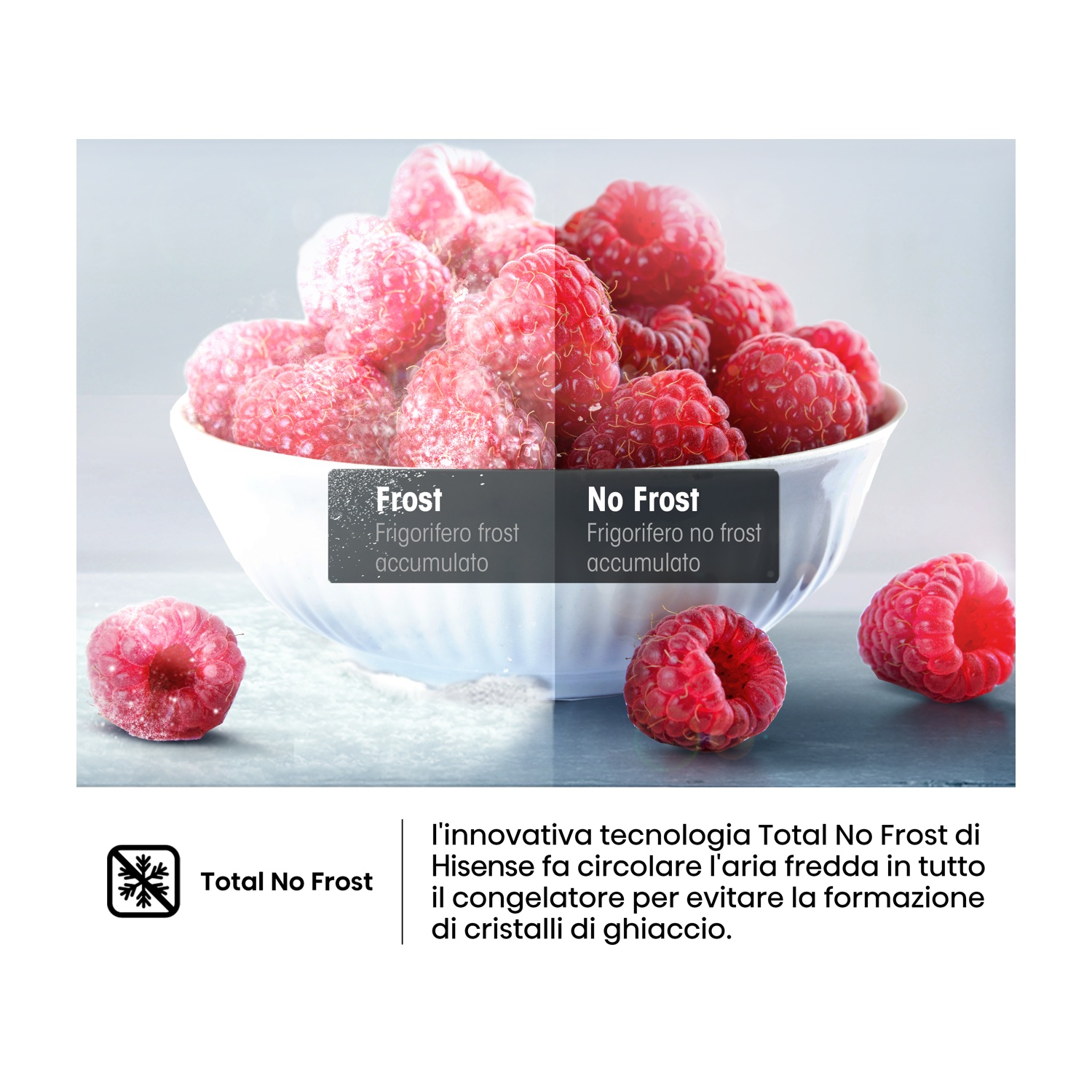 Una ciotola di lamponi, metà glassati, metà trasparenti. Il testo recita "Frost" e "No Frost" con testo italiano. Logo Total No Frost.