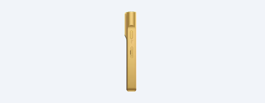 Seitenansicht eines goldfarbenen Geräts. Es hat eine glatte Oberfläche mit Knöpfen und einem Schieberegler. Der Hintergrund ist weiß.