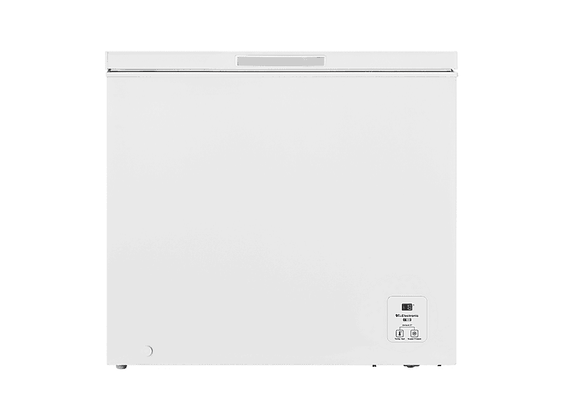 Hisense Congelatore pozzo Fc321D4Awle, classe E