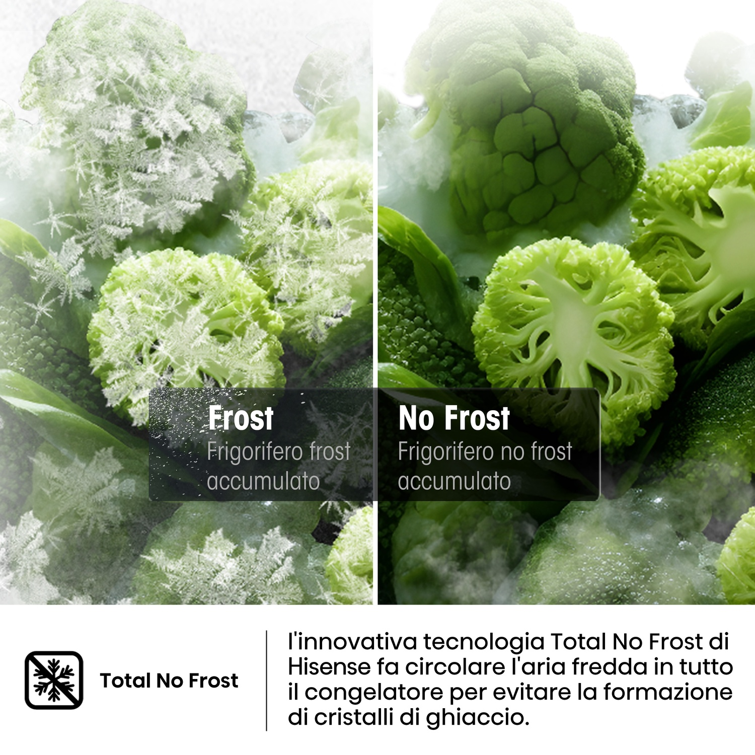 L'immagine mostra broccoli. Sinistra: broccoli ghiacciati. Destra: broccoli freschi. Il testo dice 'Frost' e 'No Frost'. Sotto: logo Total No Frost.