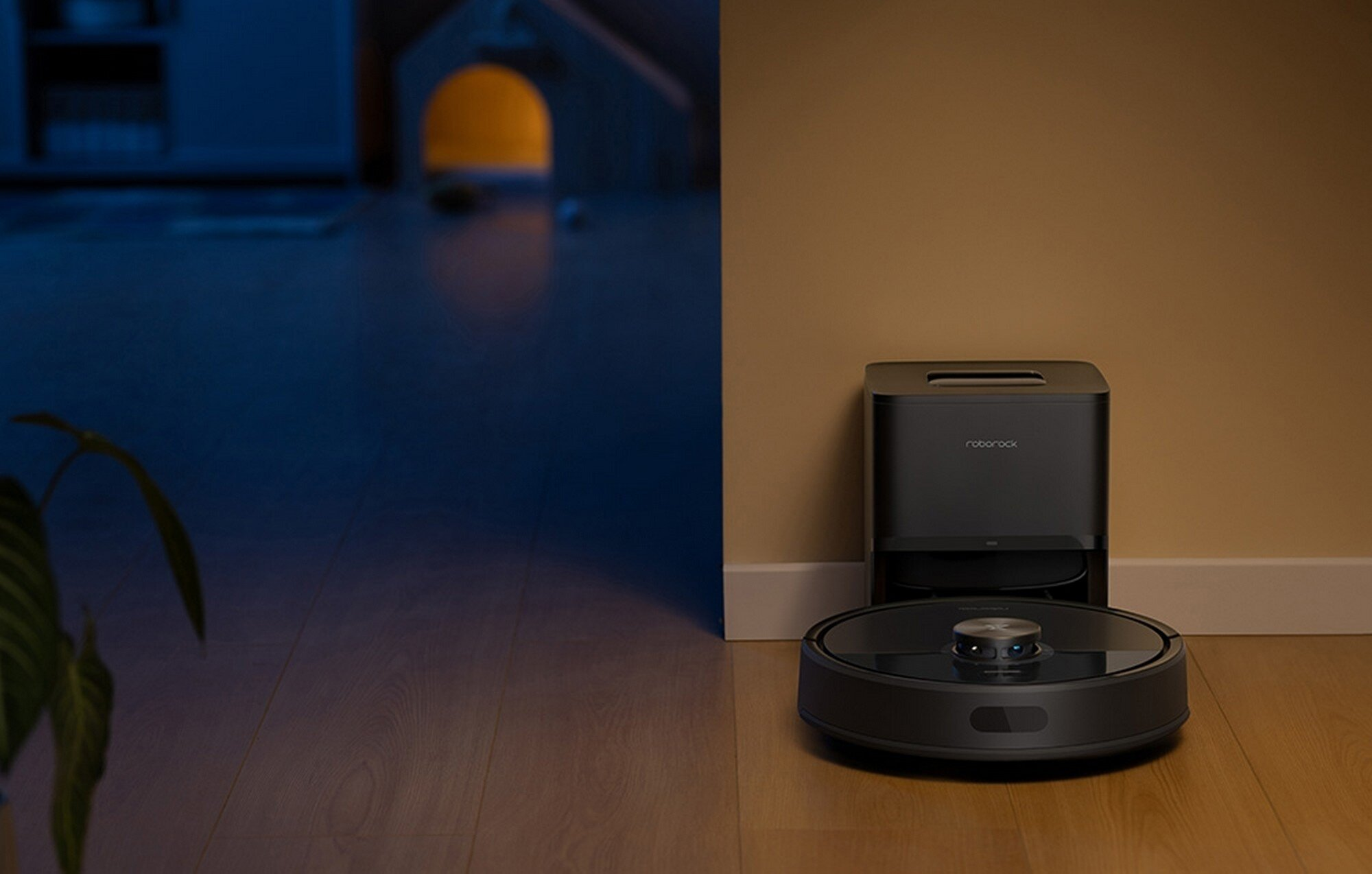 Czarny odkurzacz robot Roborock i stacja dokująca stoją na drewnianej podłodze. Pomieszczenie ma niebieskie i brązowe ściany. Roślina po lewej.