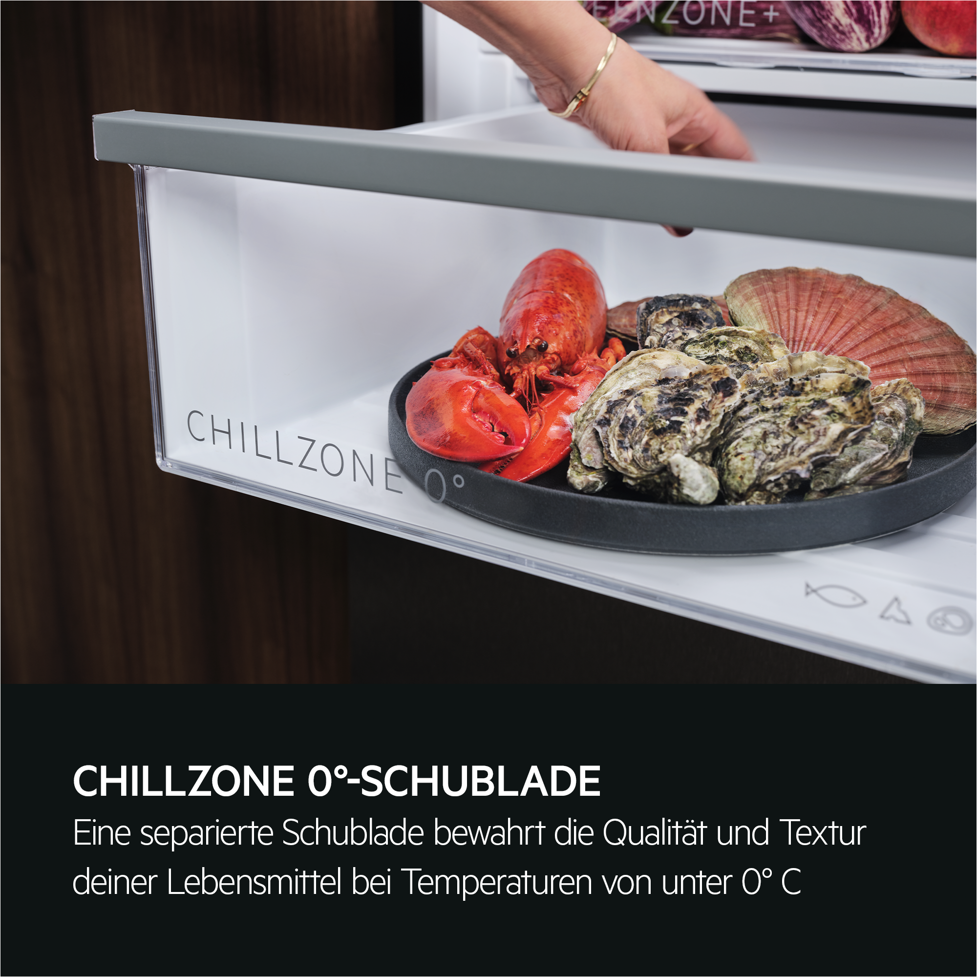 Eine Hand öffnet eine Kühlschublade mit Hummer, Austern und einer Jakobsmuschel. Die Schublade ist mit 'CHILLZONE 0°' beschriftet.