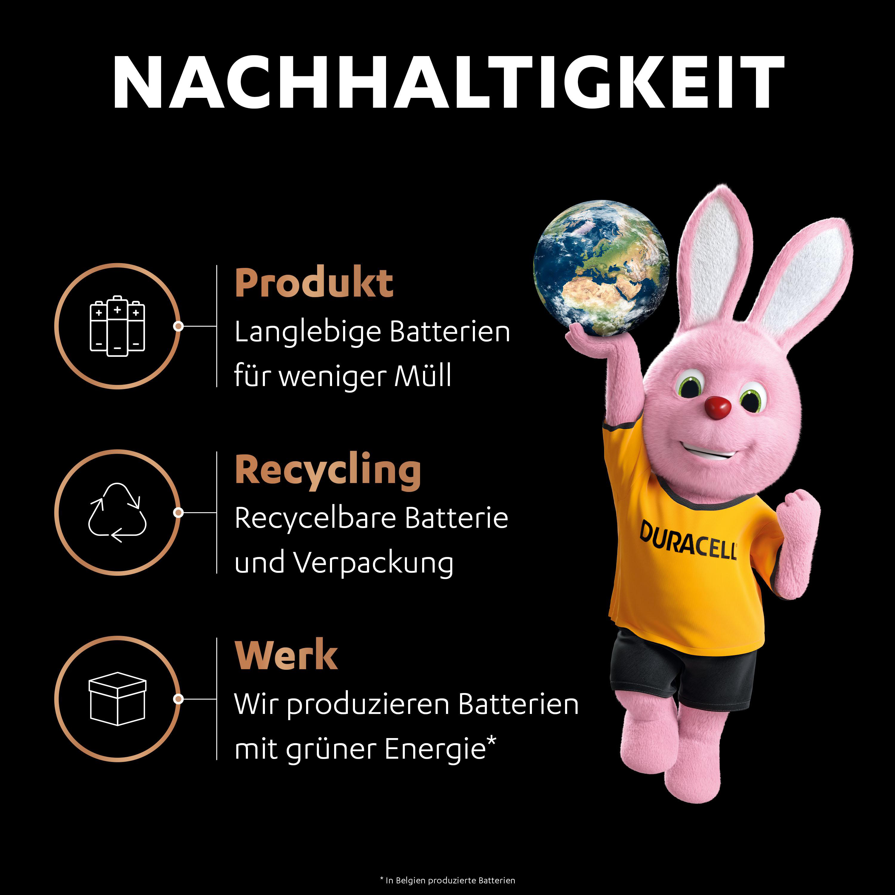 Ein rosa Kaninchen hält die Erde. Text sagt 'Produkt', 'Recycling' und 'Werk'. Duracell-Logo auf gelbem T-Shirt.