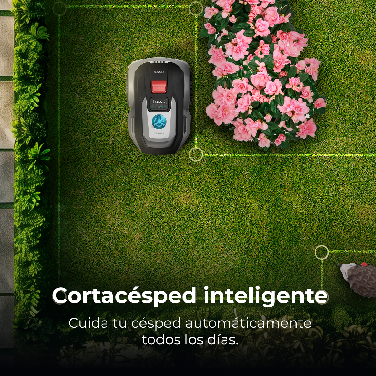 Un cortacésped robótico sobre césped verde, cerca de flores rosas. Un seto a la izquierda, un erizo a la derecha. Las palabras 'Smart Lawn Mower'.
