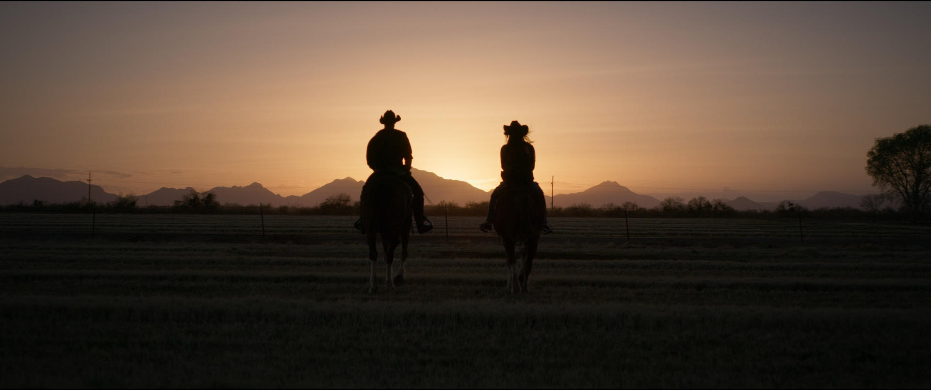 Zwei Reiter in Cowboyhüten reiten über ein Feld bei Sonnenuntergang.