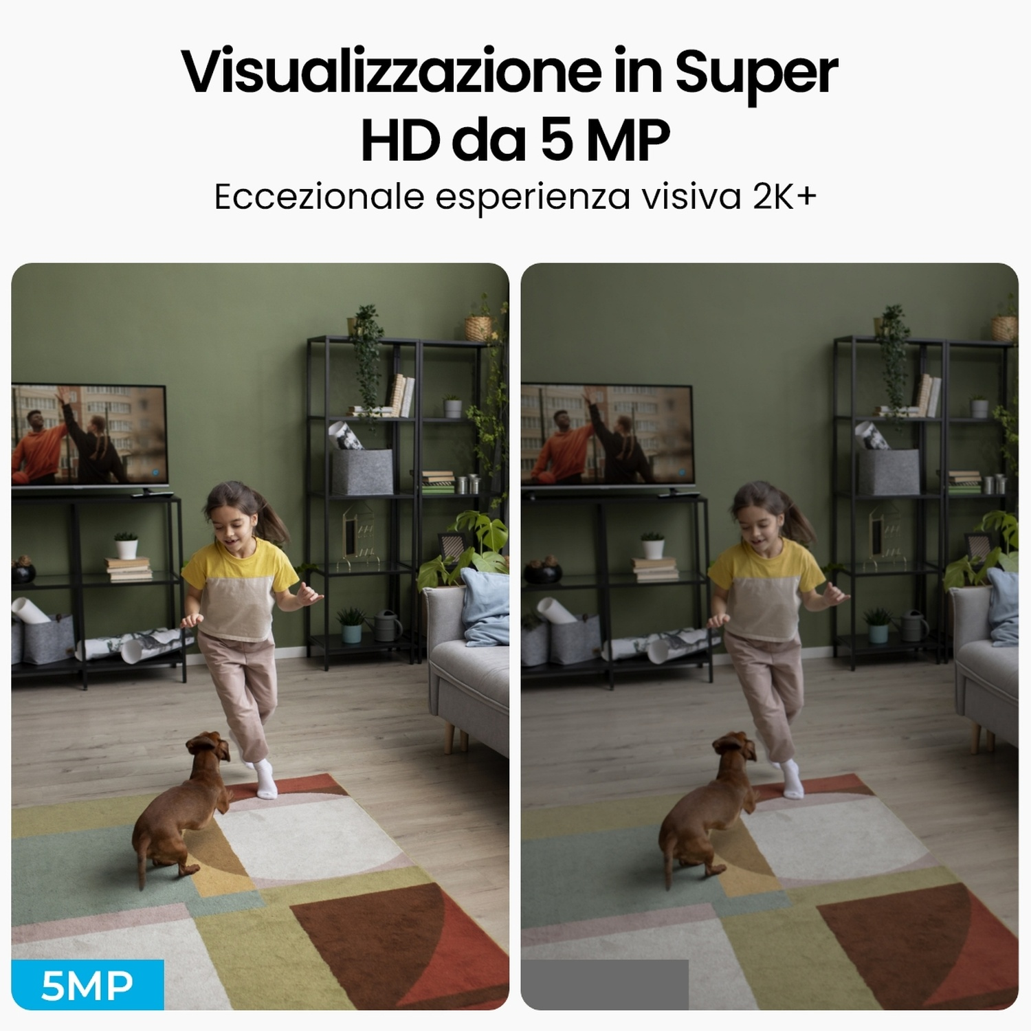 Una ragazza corre verso un bassotto su un tappeto fantasia. Due TV mostrano persone sullo sfondo. Un muro verde e scaffali sono visibili.