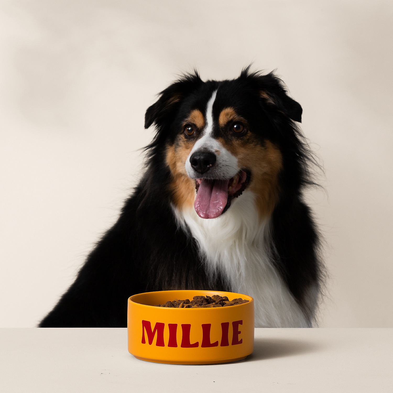 Ein dreifarbiger Hund mit herausgestreckter Zunge blickt auf eine orangefarbene Schüssel mit der Aufschrift "MILLIE", gefüllt mit Hundefutter. Im Vordergrund steht ein weißer Tisch.