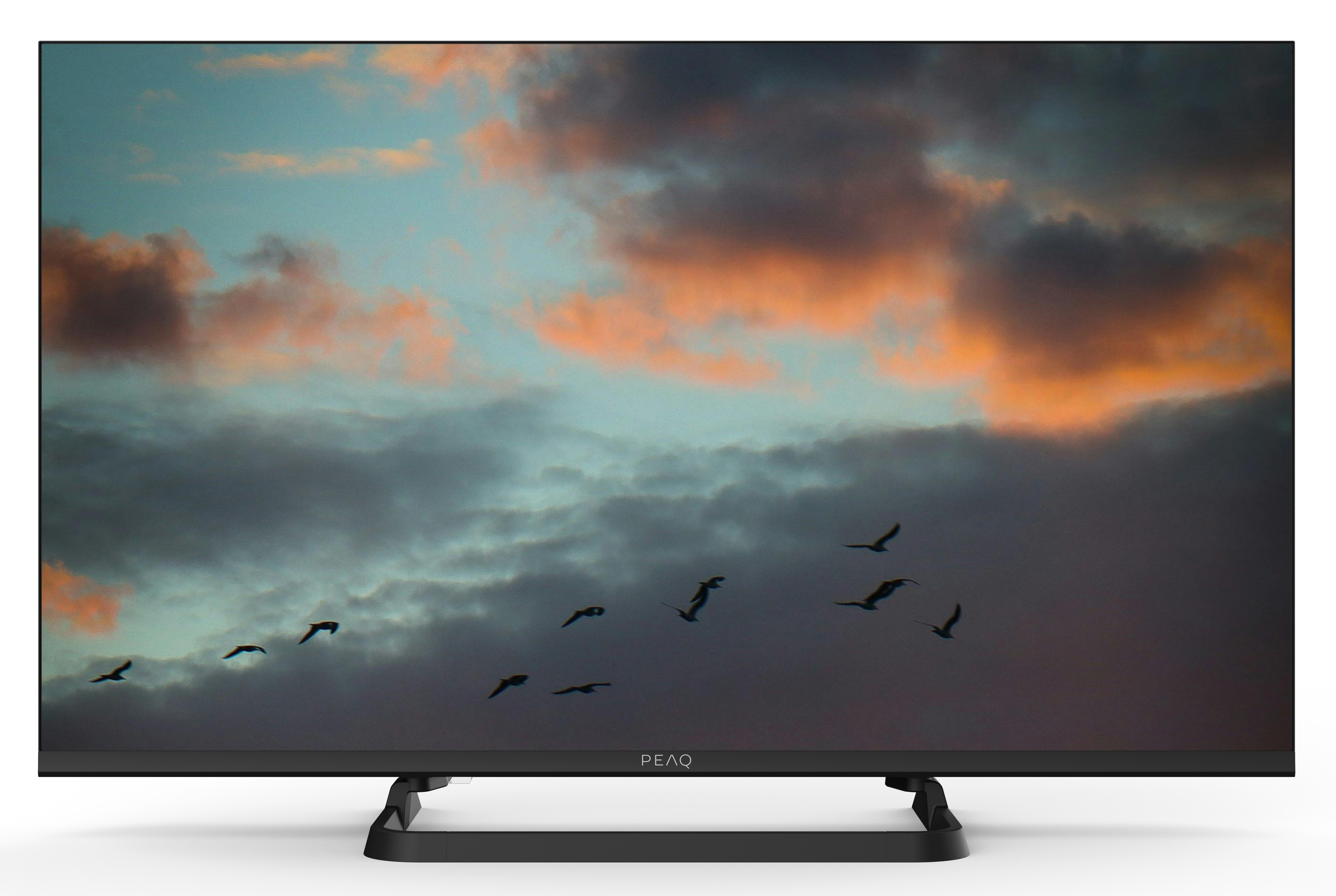 Telewizor wyświetla zachmurzone niebo z ptakami w locie. Niebo ma odcienie pomarańczu, szarości i błękitu. Telewizor jest czarny.