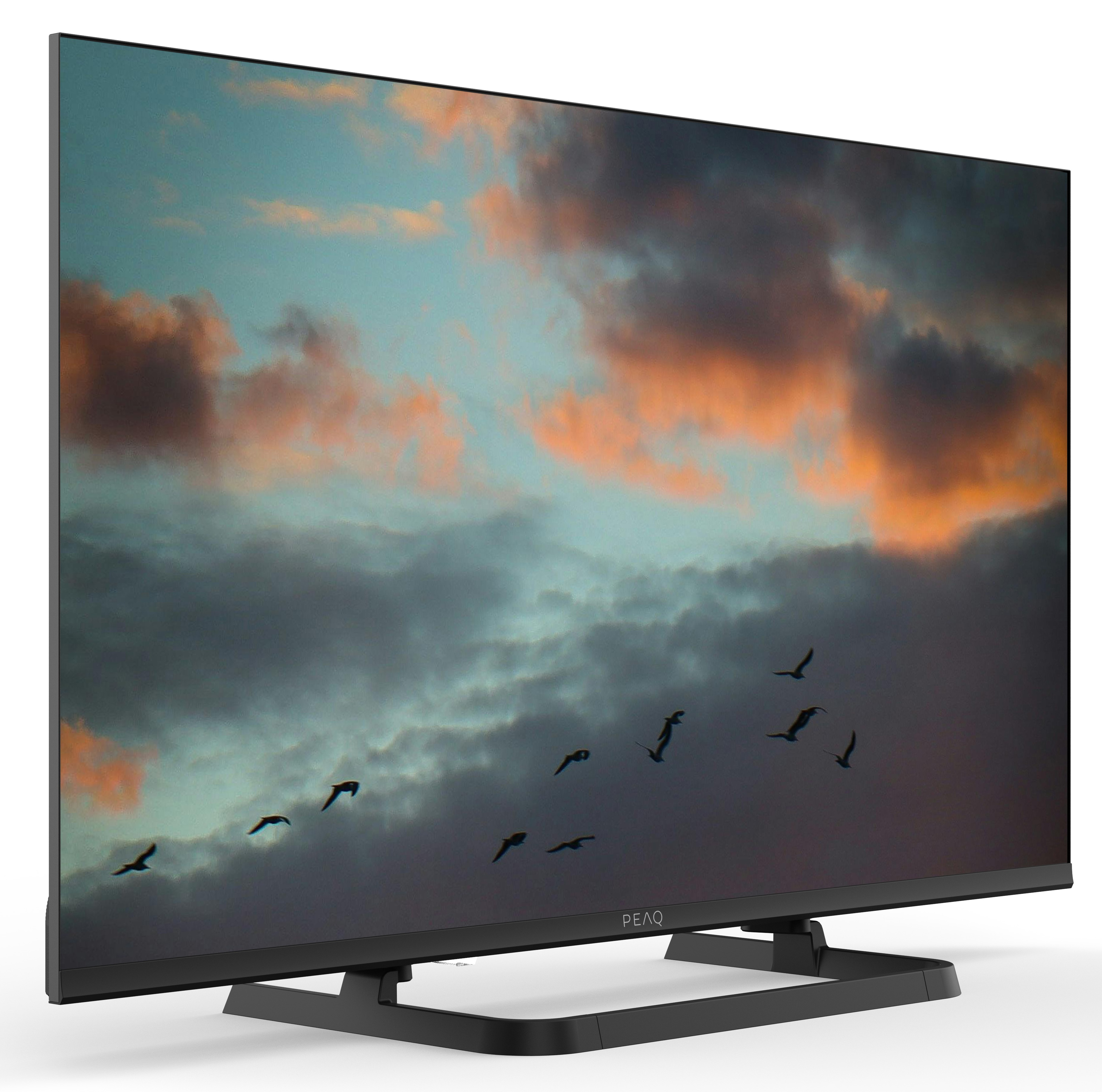 Ekran telewizora wyświetla niebo z chmurami i ptakami. Czarna ramka telewizora ze stojakiem na białym tle.