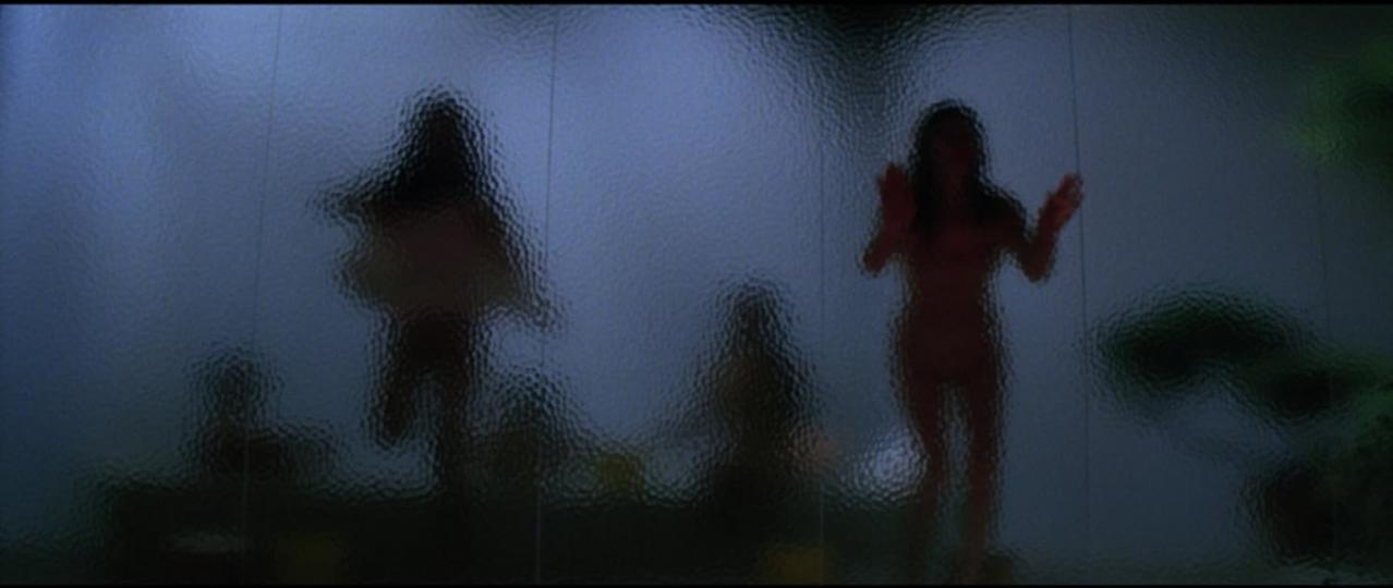Menschen sind hinter strukturiertem Glas zu sehen. Silhouetten von Figuren sind sichtbar; eine hebt die Arme. Die Szene ist schwach beleuchtet.