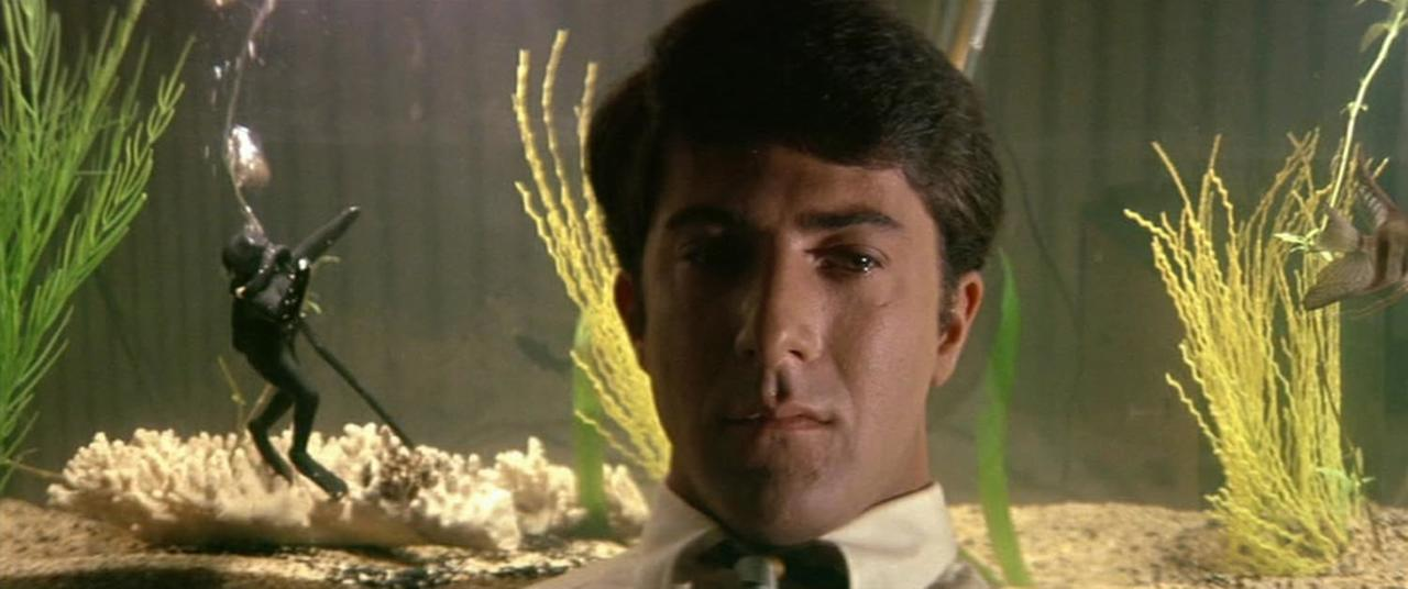 Ein Mann schaut in die Kamera. In einem Aquarium hinter ihm befinden sich ein Taucher, Pflanzen und Fische.