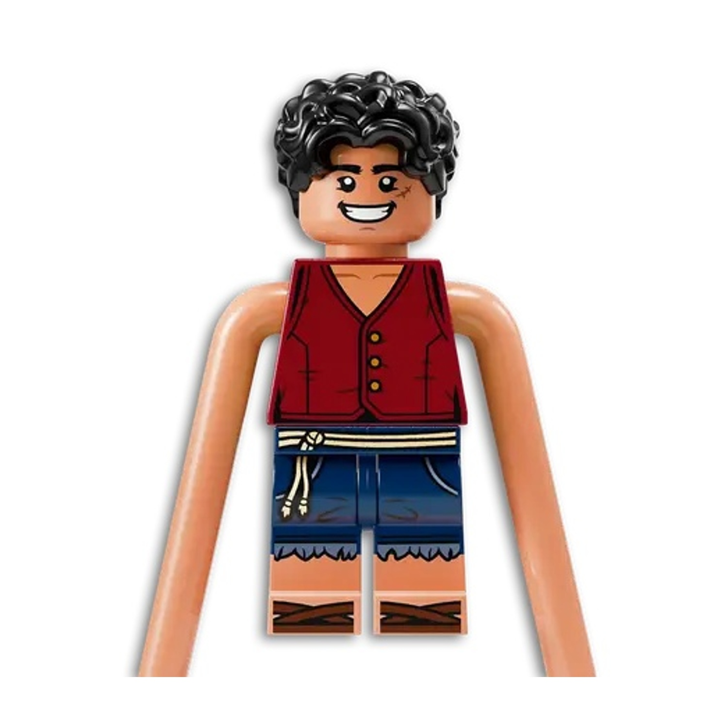 Un personaggio Lego con capelli ricci scuri, gilet rosso, pantaloncini blu e sandali marroni. Ha braccia lunghe e abbronzate e una faccia sorridente.