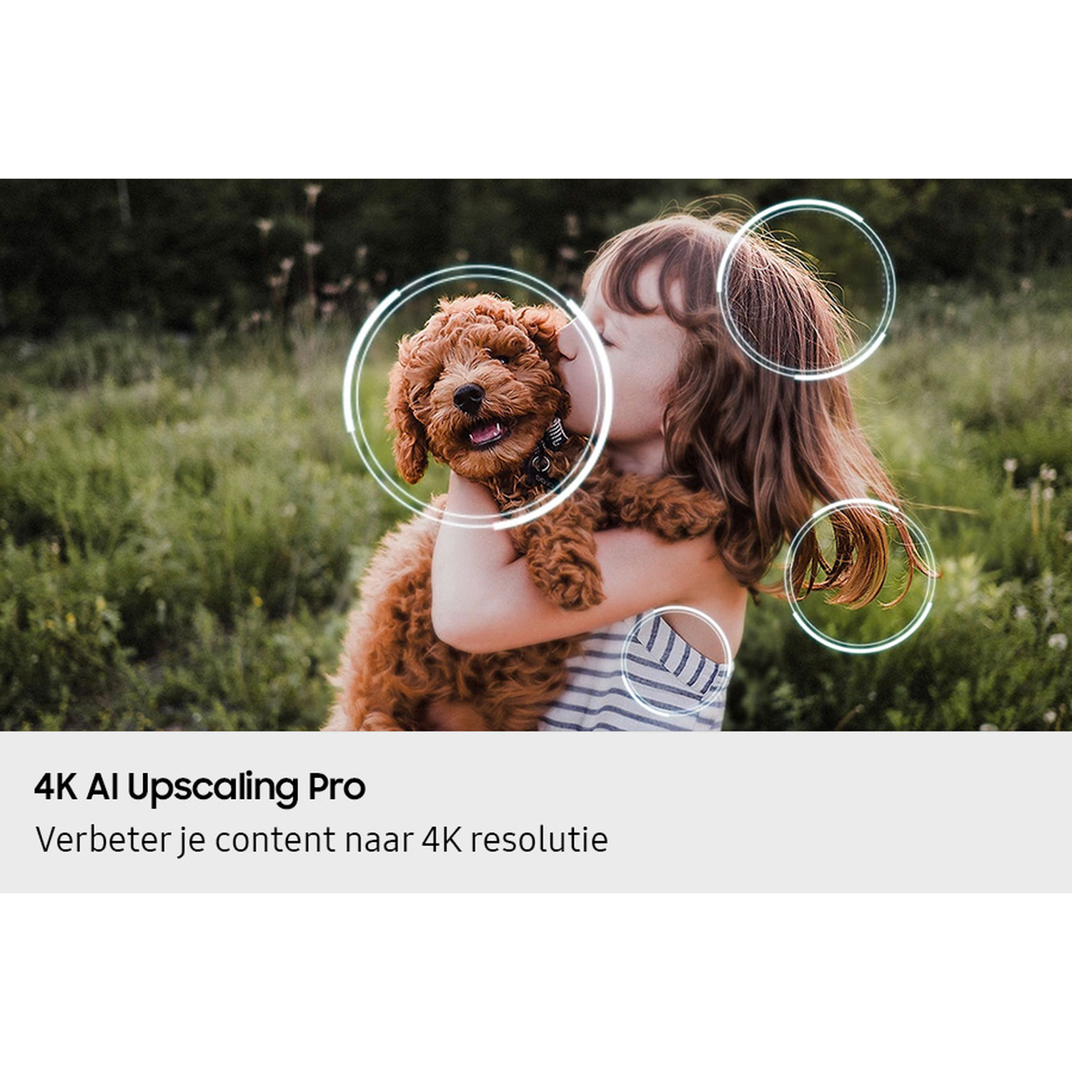 A girl holds a brown puppy, kissing it. They are in a grassy field. Text below: 4K AI Upscaling Pro, Verbetere je content naar 4K resolutie.