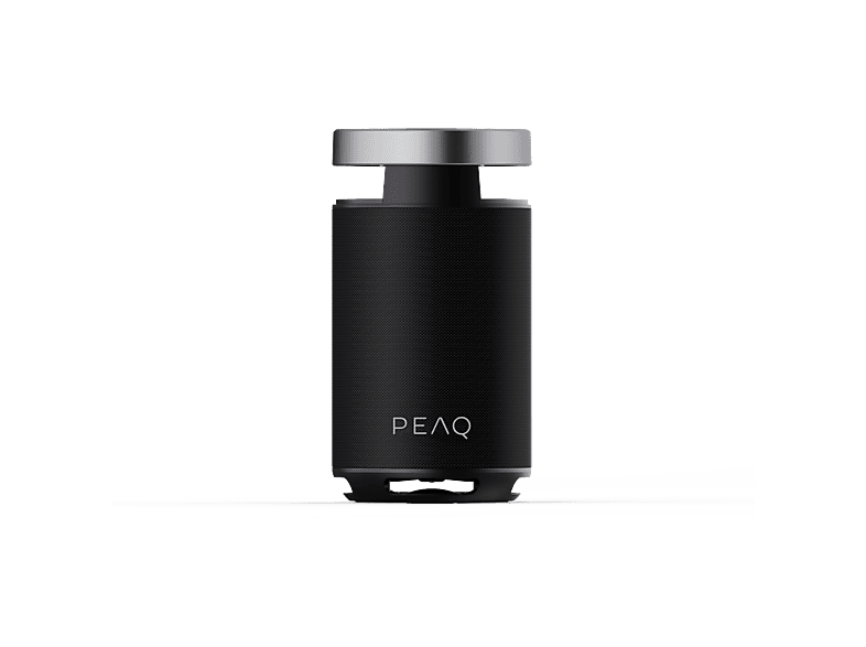 Peaq PPS 170 Partyspeaker
