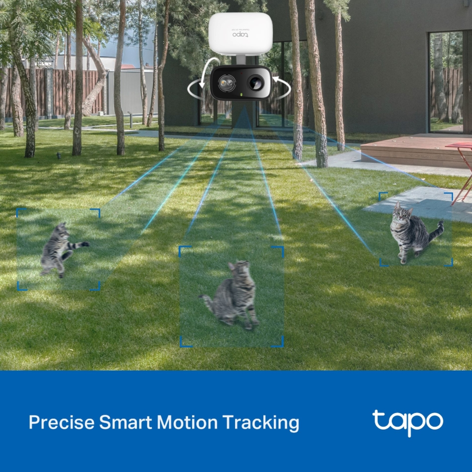 A security camera detects three cats on a lawn. Trees and a house are in the background. The brand Tapo is at the bottom.