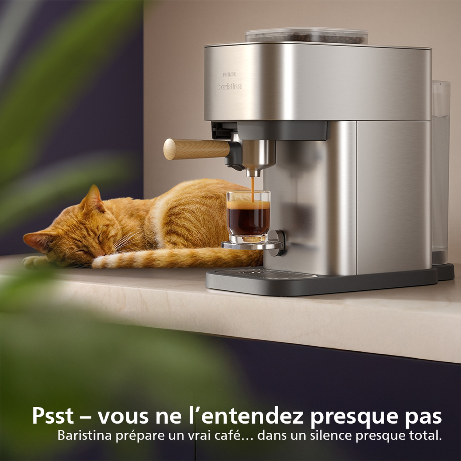 Un chat orange dort près d'une machine à café versant de l'espresso dans un verre. La machine est en acier inoxydable.