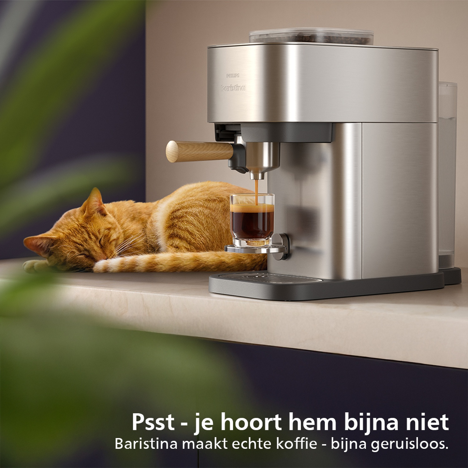 Une machine à café prépare du café dans un verre. Un chat orange dort sur le comptoir à côté.