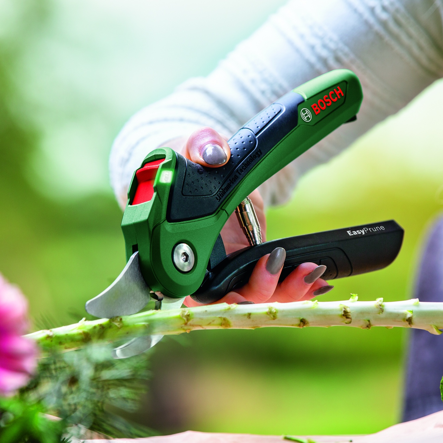Una persona usa le cesoie verdi Bosch EasyPrune per tagliare uno stelo verde. Le cesoie sono tenute in mano con lo smalto grigio.