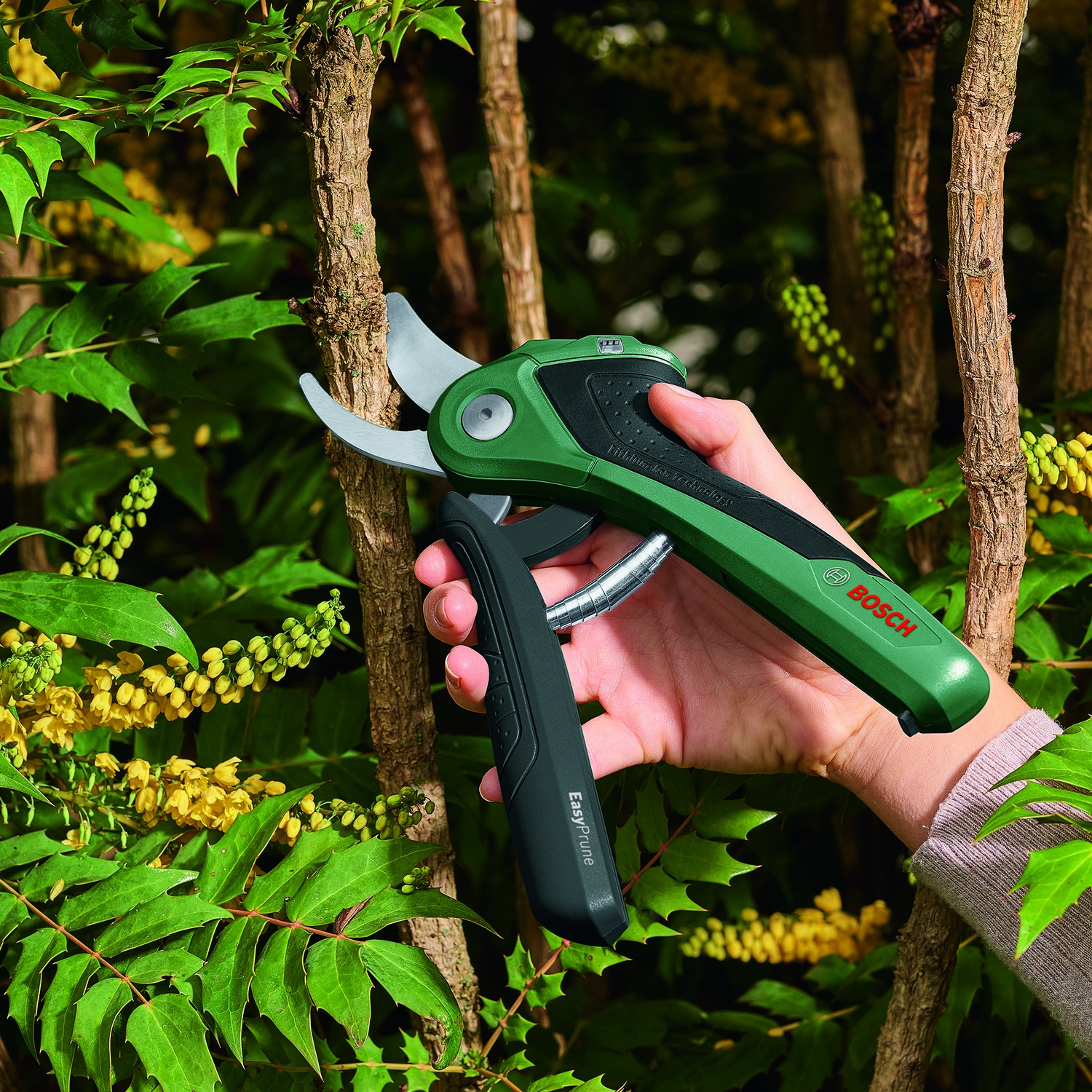 Una mano tiene delle cesoie Bosch EasyPrune verdi e nere, che tagliano un ramo marrone. Fiori gialli e foglie verdi sullo sfondo.