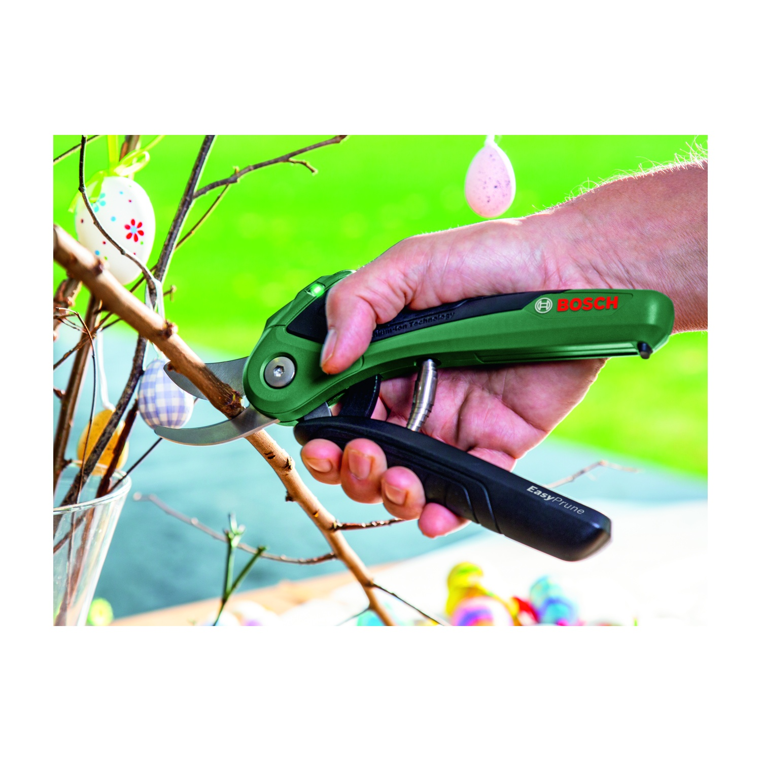 Una mano tiene uno strumento verde Bosch EasyPrune, tagliando un ramo decorato con uova di Pasqua. Sfondo verde.