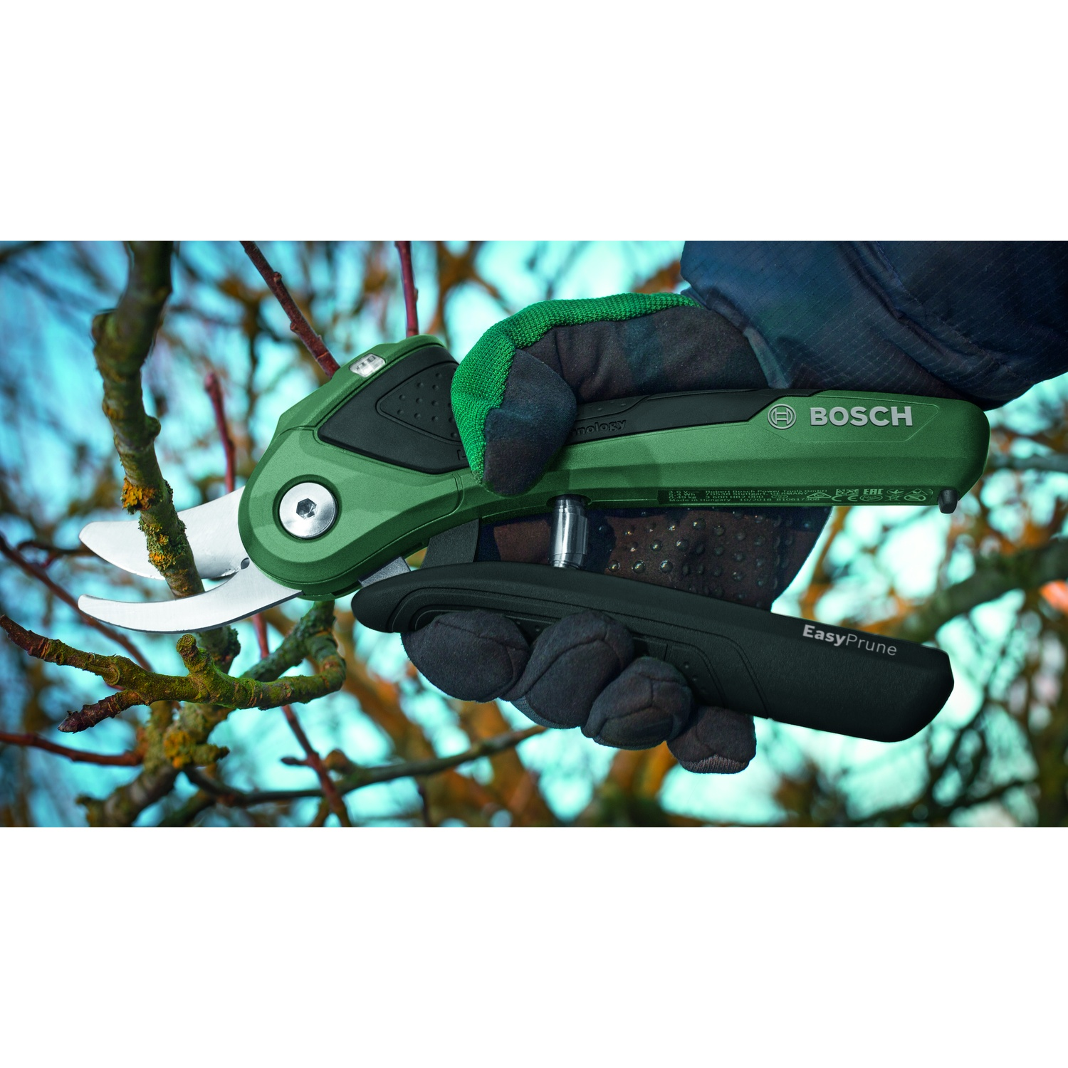 Una mano con un guanto verde e nero tiene un Bosch EasyPrune verde. La potatrice sta tagliando un ramo. Lo sfondo sono rami sfocati.