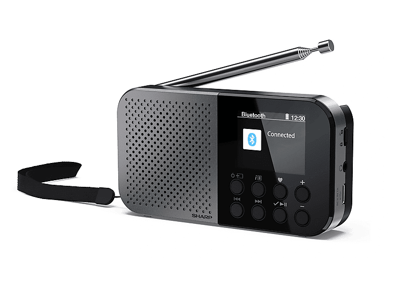 Radio SHARP DR-P520 Cyfrowe Przenośne Szary – zdjęcie 3