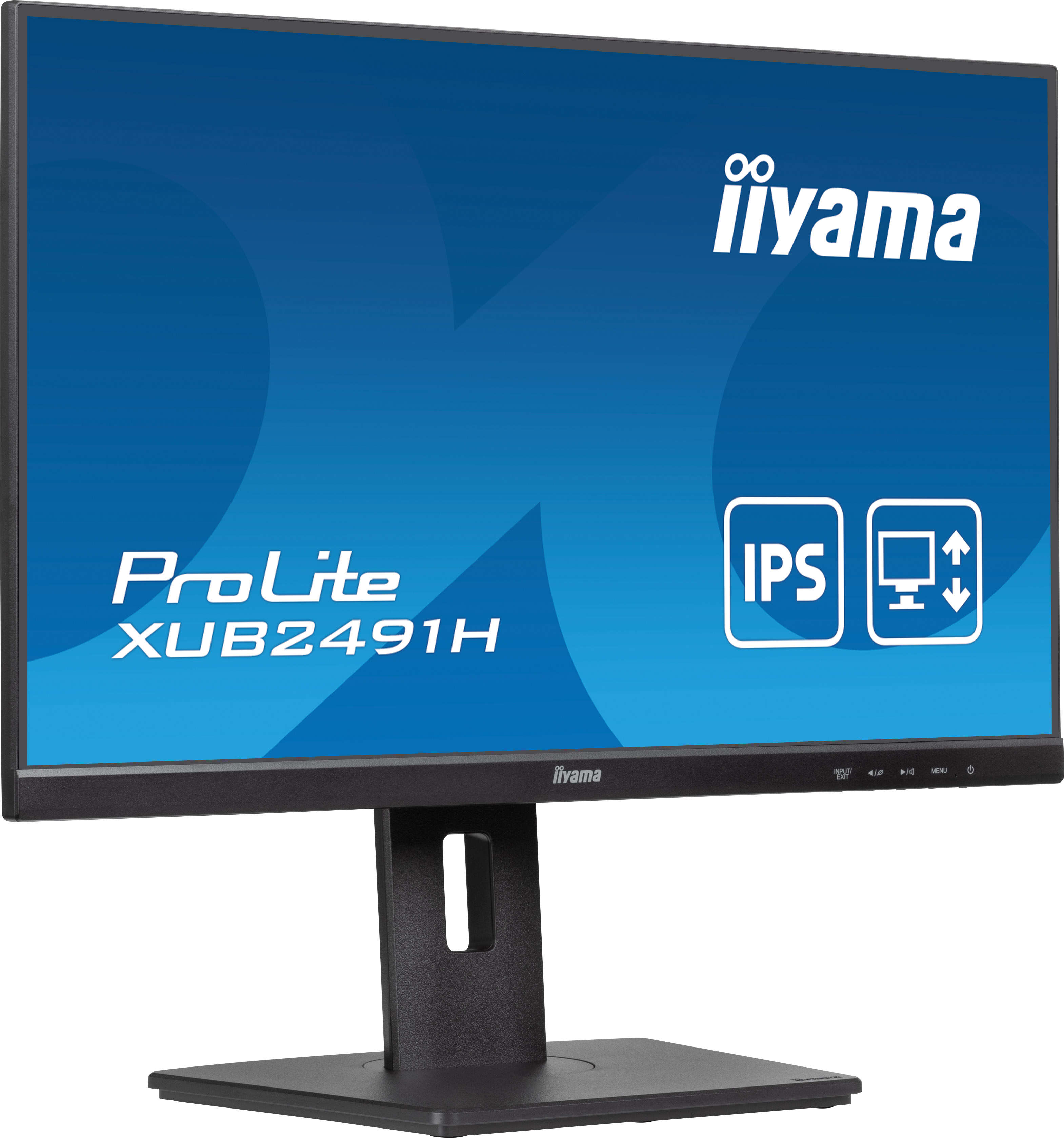 Ein schwarzer Computermonitor zeigt das iiyama ProLite XUB2491H-Logo und IPS-Technologie-Symbole. Der Bildschirm ist blau.
