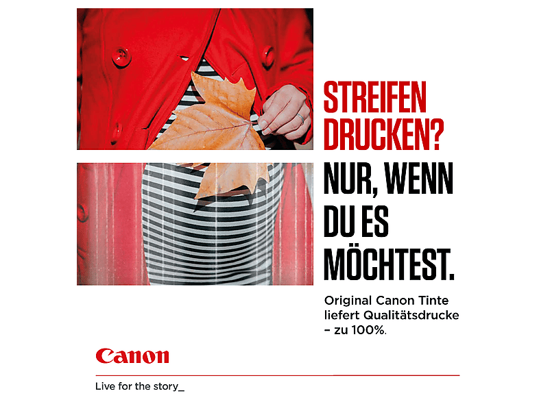 CANON CLI-531GY Tintenpatrone, Grau; Original — Foto 4 von 5