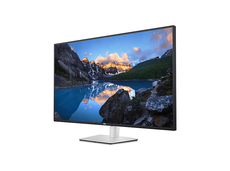 Monitor DELL | B2B U4323QE 43 Zoll UHD 4K Business Monitor 8 ms