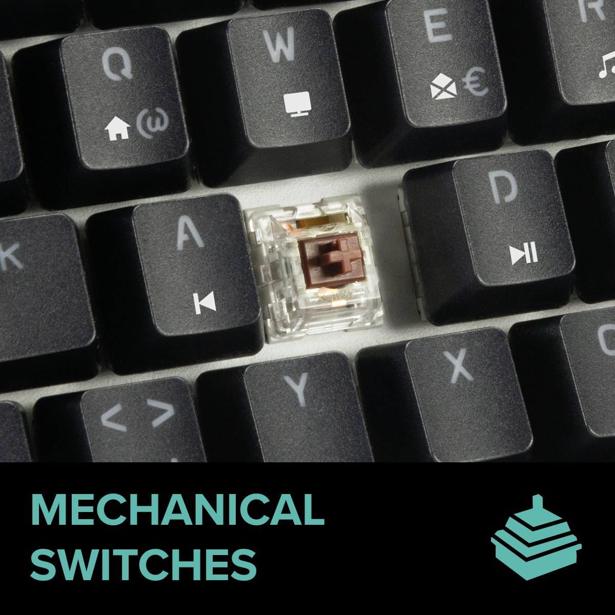 Nahaufnahme einer mechanischen Tastatur. Eine Taste ist entfernt, um einen braunen und durchsichtigen Schalter zu zeigen. Schwarze Tasten mit weißer Beschriftung.