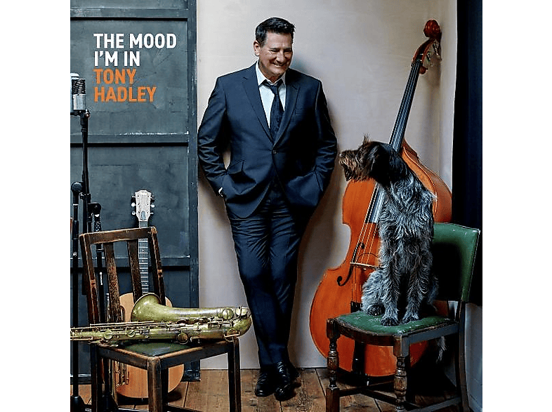 Tony Hadley - The Mood I'm In - (Vinyl)