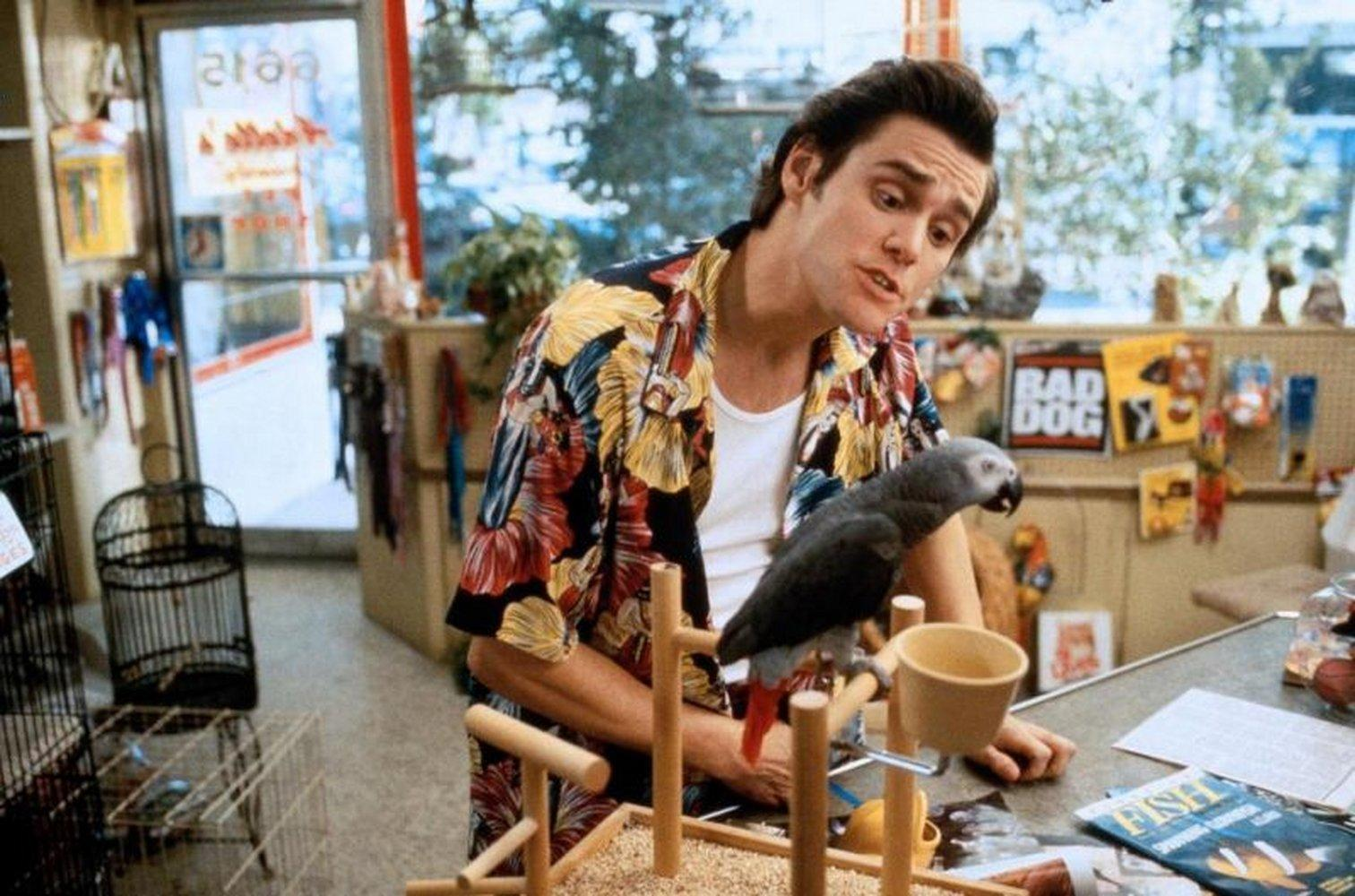 Jim Carrey in buntem Hemd mit Papagei. Hintergrund mit Tierhandlung Artikeln. Papagei sitzt auf Holzständer, Tasse daneben.
