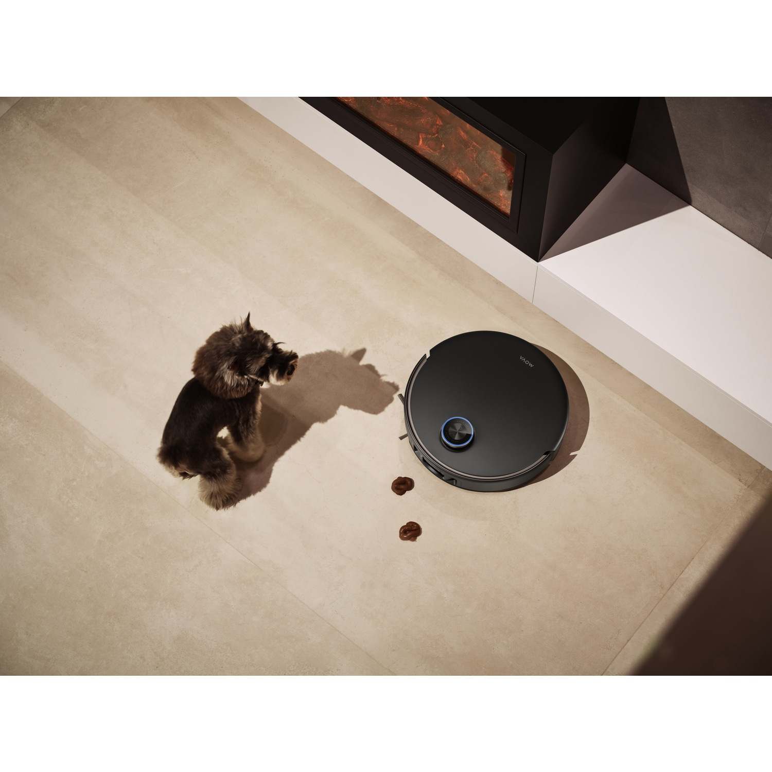 Un aspirateur robot noir et un petit chien sont sur un sol clair. Deux excréments bruns sont à proximité.