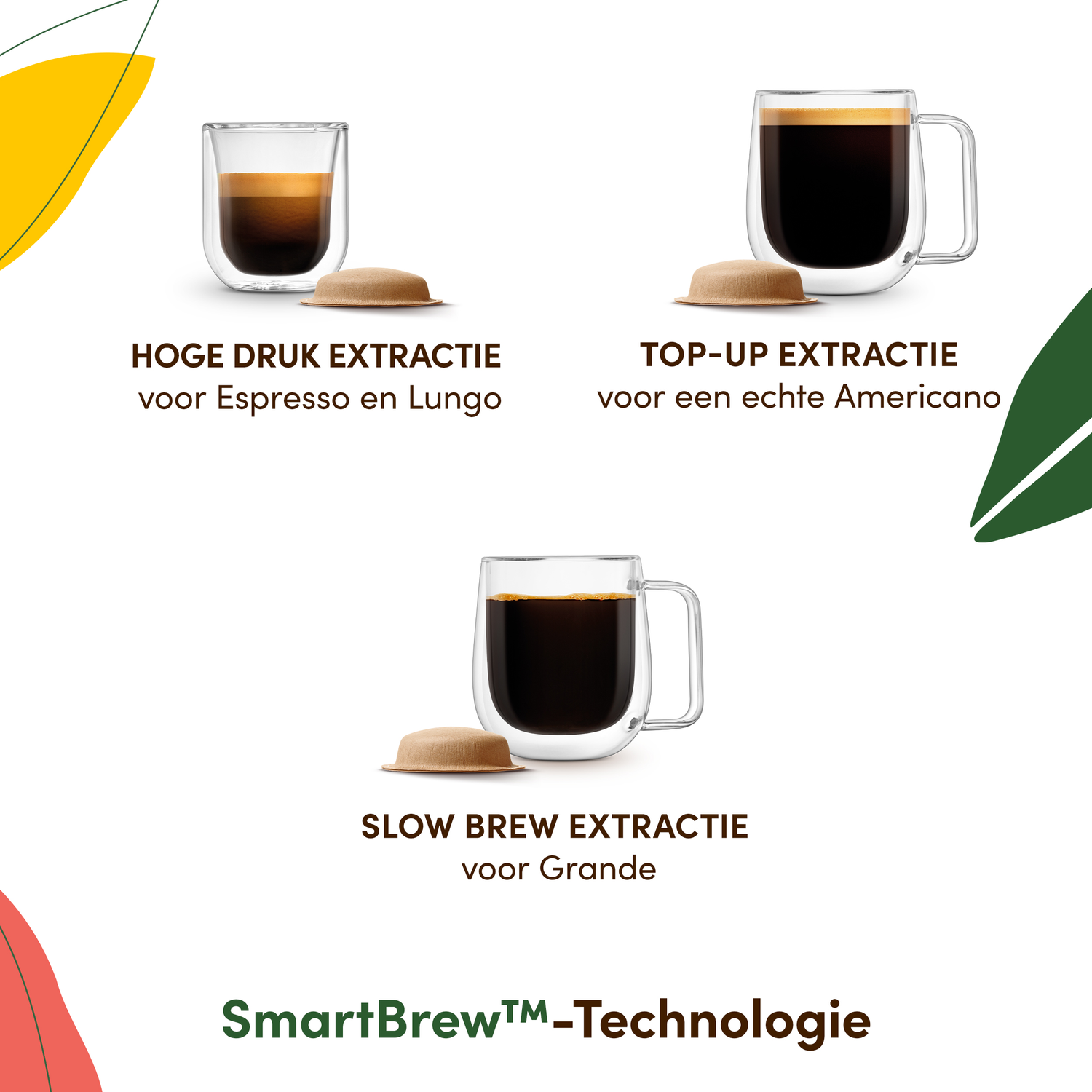 Three coffee cups are displayed. Each cup contains a different coffee type. Text indicates the extraction method and the coffee type.