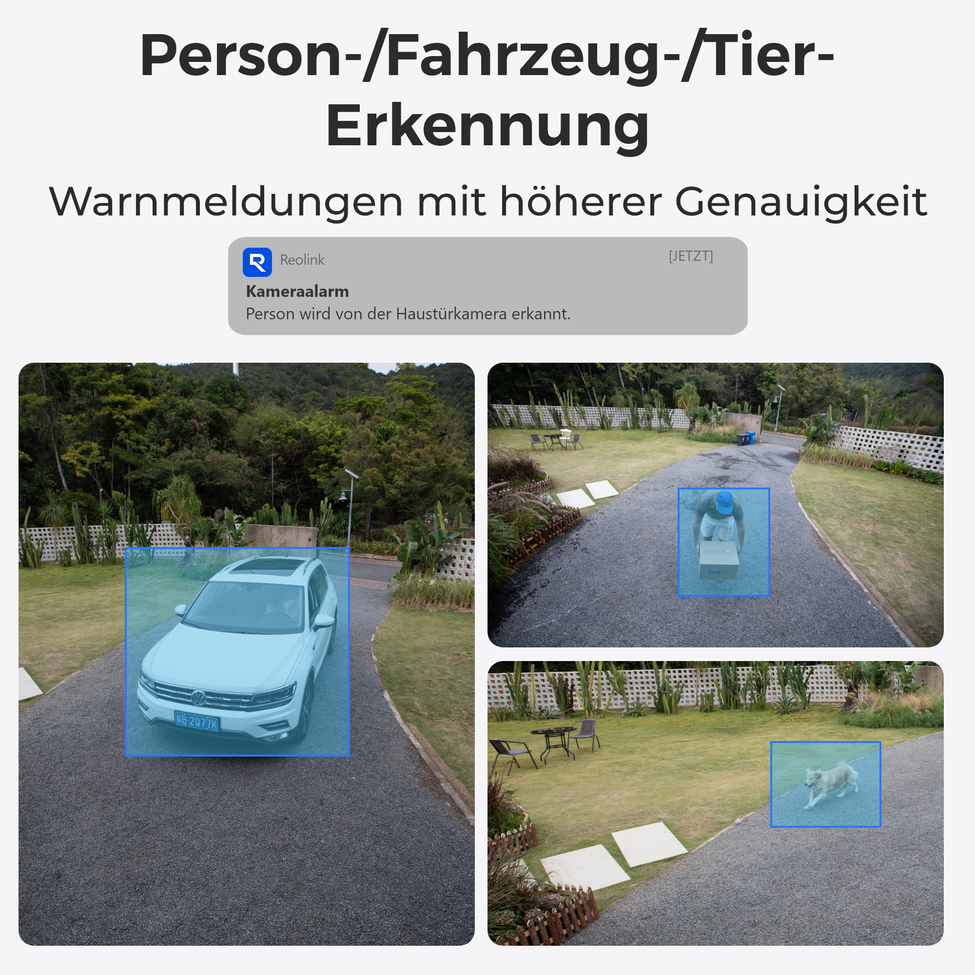 Das Bild zeigt ein weißes Auto, eine Person mit einem Paket und einen Hund. Alle sind mit blauen Kästen hervorgehoben.