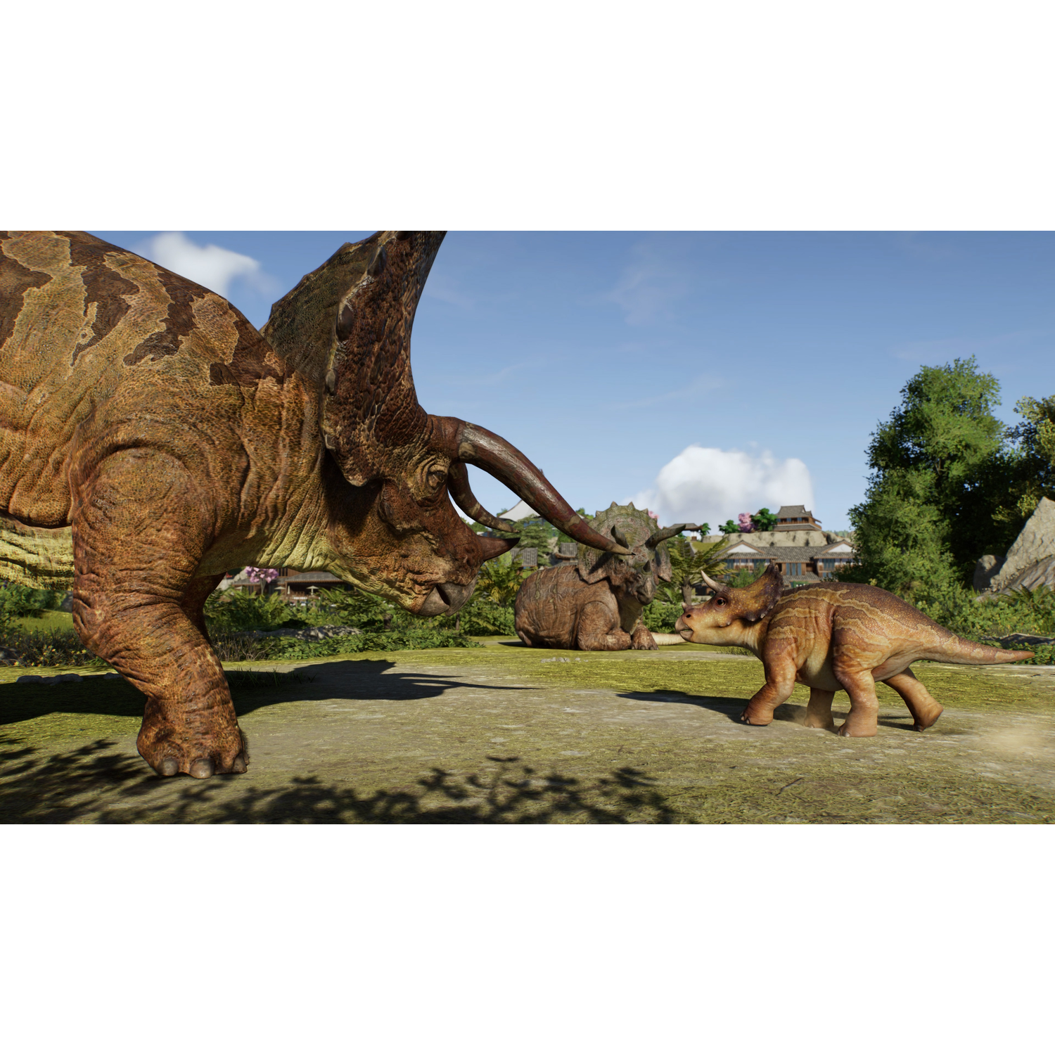 A large triceratops faces a smaller one. Another rests in the background. Blue sky, green trees and a building are visible.