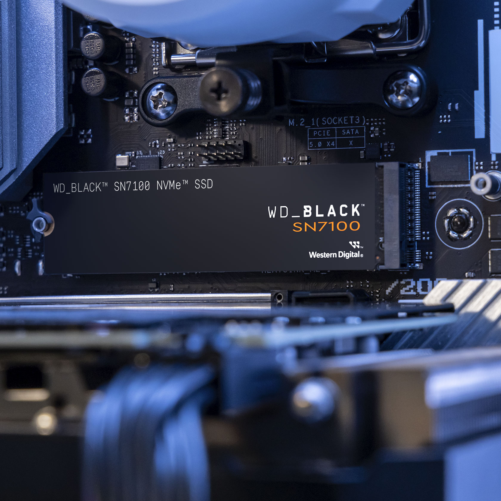 Eine schwarze WD_BLACK SN7100 NVMe SSD ist auf einem Motherboard installiert. Das Board ist dunkel mit Metallkomponenten.
