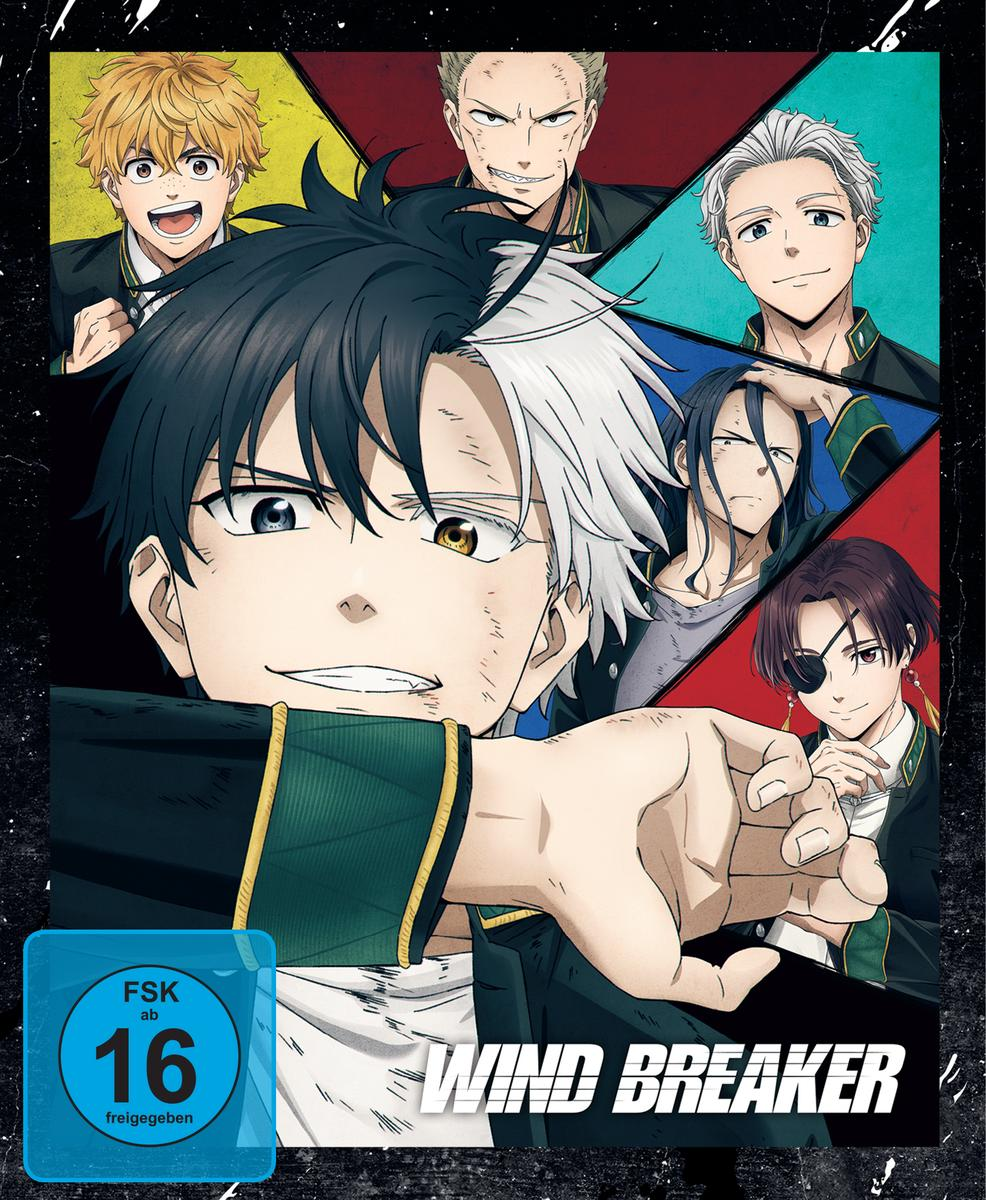Anime-Cover mit mehreren männlichen Charakteren. Die zentrale Figur hat schwarze und weiße Haare. Der Titel 'Wind Breaker' ist sichtbar.