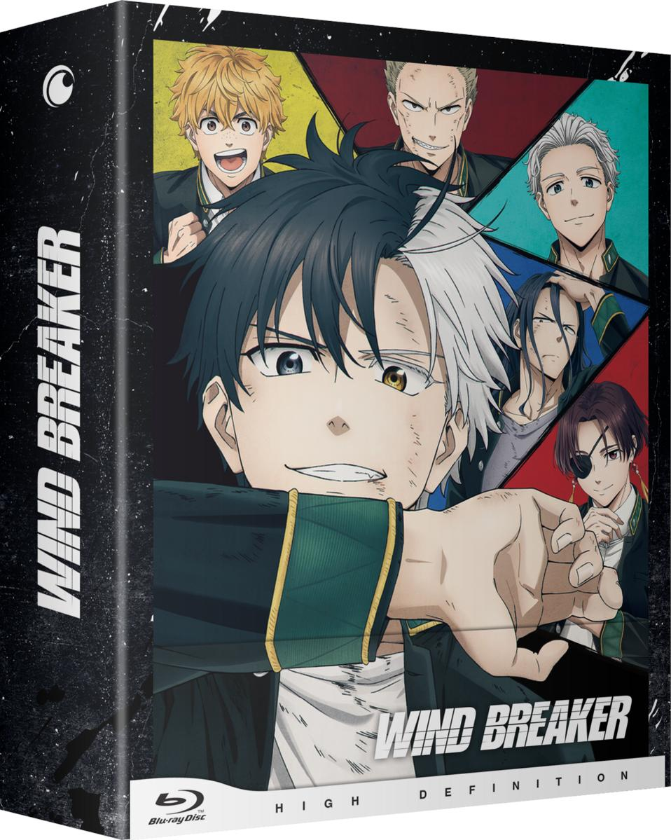 Anime Blu-ray Box-Art. Zeigt mehrere männliche Charaktere mit unterschiedlichen Frisuren. Der Titel 'Wind Breaker' ist prominent dargestellt.