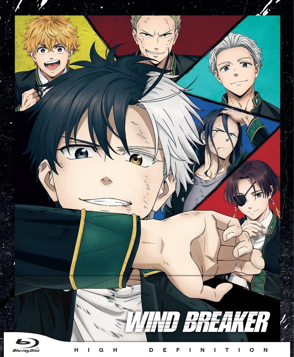 Anime-Cover. Ein Mann mit schwarz-weißem Haar zeigt auf etwas. Andere Charaktere lächeln, mit dem Titel "WIND BREAKER".