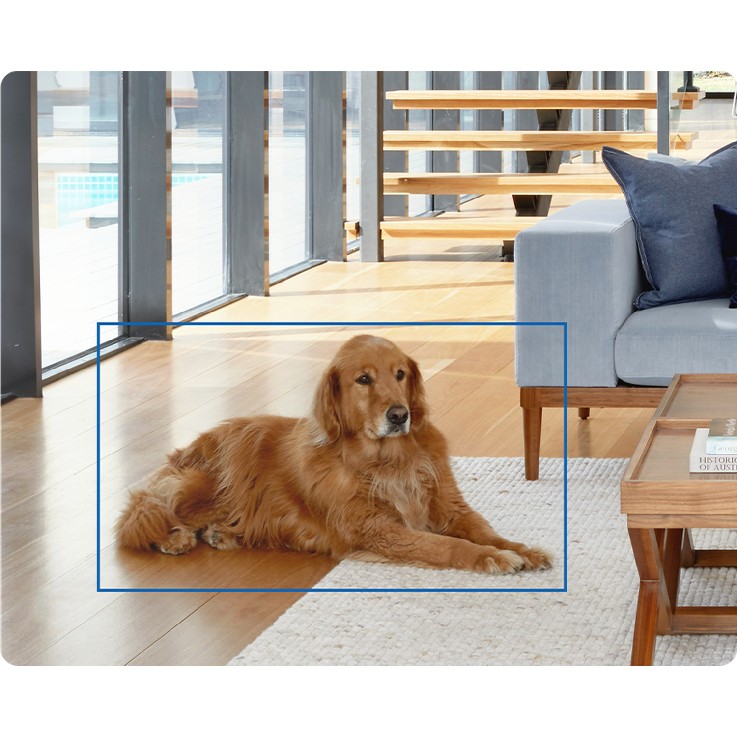 A golden retriever lies on a white rug in a room. A sofa, wooden table, and staircase are in the background.