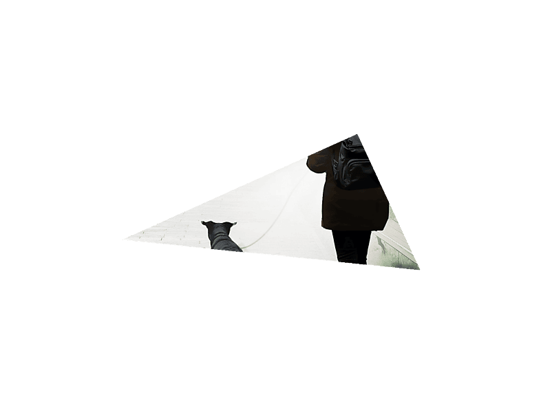 HAMA 00228602 FL250, BATTERIE, ALUMINIUM, 4 MODI + SOS Taschenlampe