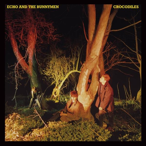 Vier Männer im Wald bei Nacht. Titel 'Crocodiles'. Ein Mann sitzt, zwei stehen an einem Baum, ein anderer sitzt im Hintergrund.