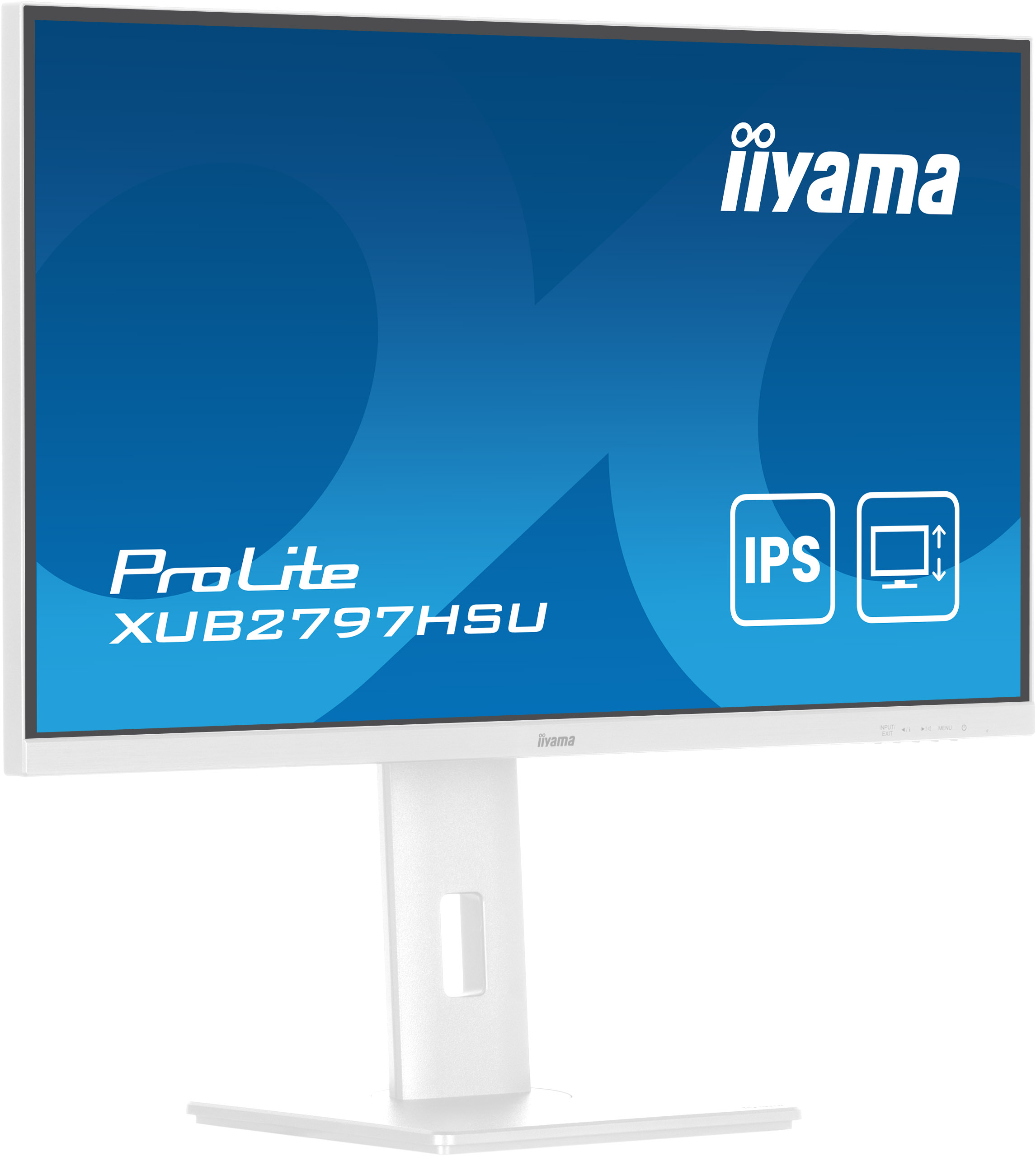 Biały monitor iiyama z niebieskim ekranem wyświetlającym model ProLite. Stojak jest biały. Logo iiyama znajduje się na górze.