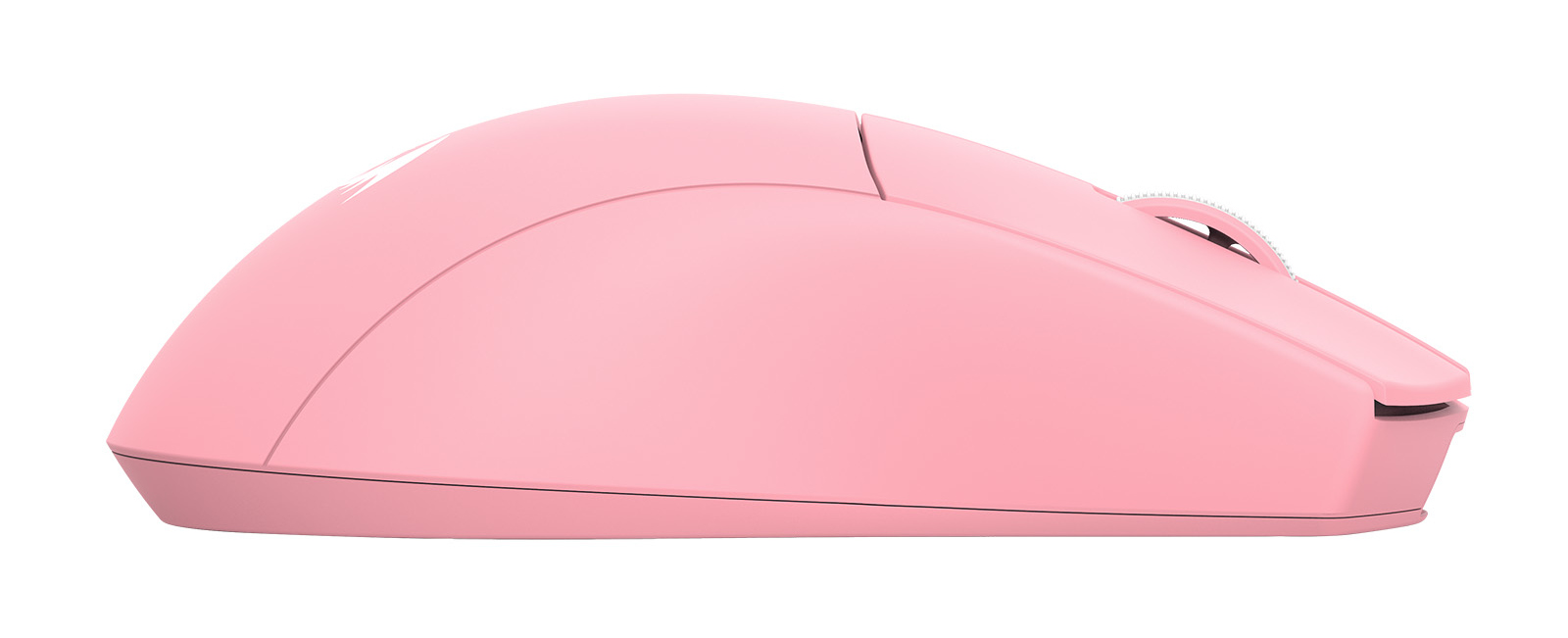 Różowa mysz komputerowa widziana z profilu. Ma zakrzywioną górę, kółko przewijania i lekko ukośny przedni koniec, wszystko na białym tle.