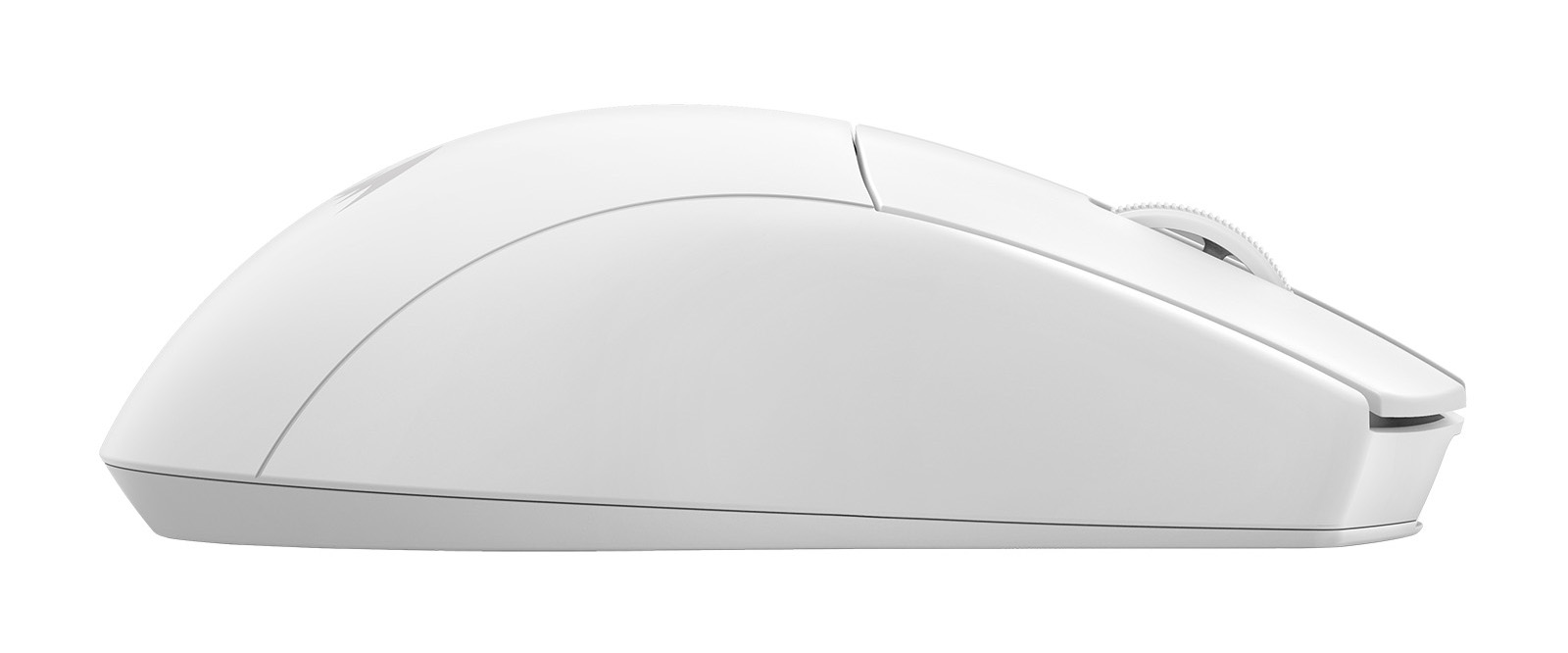 Biała mysz komputerowa na białym tle. Ma zakrzywioną konstrukcję z kółkiem przewijania i przyciskami.