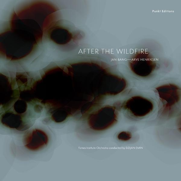 Albumcover mit abstrakten Formen, dunkelrot und schwarz auf grauem Hintergrund. Text enthält den Titel 'After the Wildfire'.